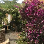 Nick's Cave, With A Difference